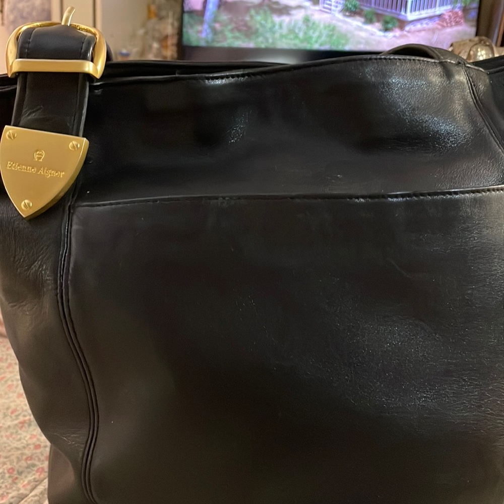 Etiene Aigner purse